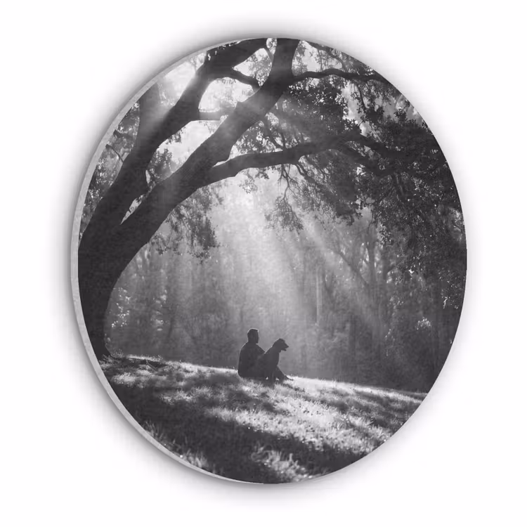 Mens - Hond - Natuur - Zwart-wit - Silhouet Akoestische PET Vilt - Rond klein -3d