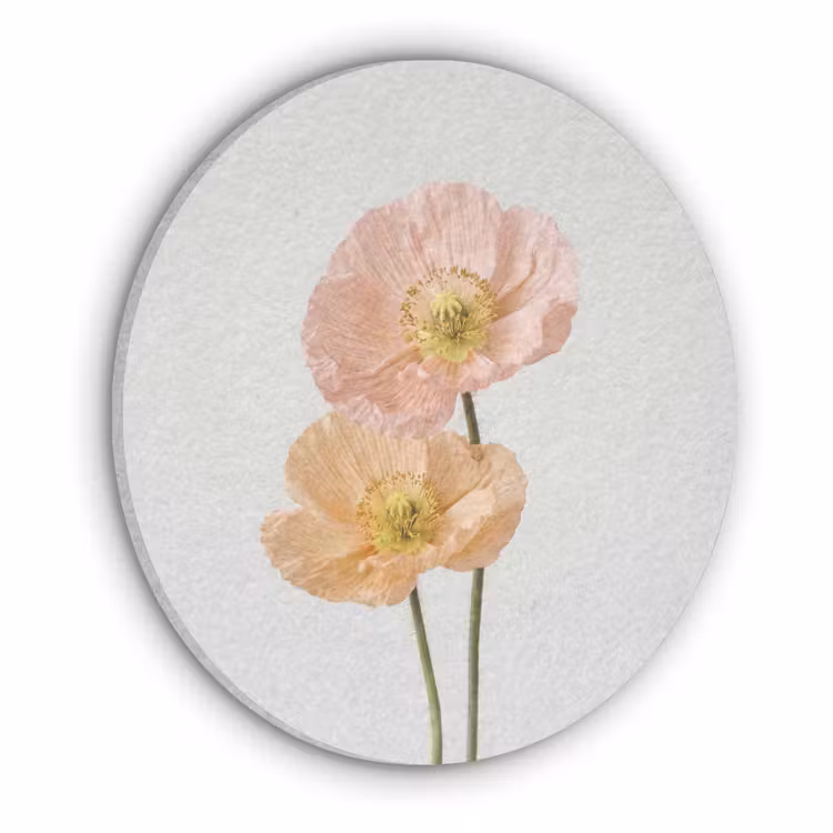 Papavers - Botanisch - Roze Akoestische PET Vilt - Rond klein -3d