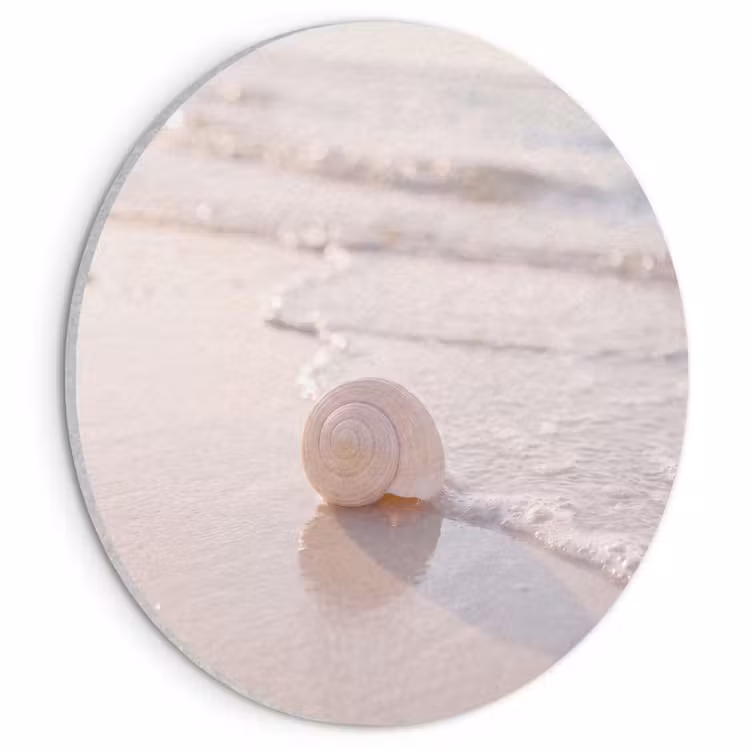 Zeeschelp - Strand - Zee - Natuur - Beige Akoestische PET Vilt - Rond klein -3d