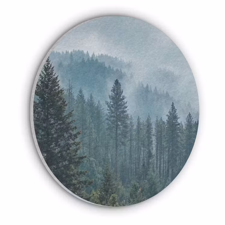 Naaldwoud - Bergen - Mist Akoestische PET Vilt - Rond klein -3d
