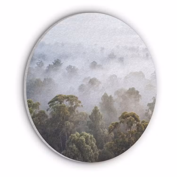 Natuur - Mist - Bos - Ochtend - Goud Akoestische PET Vilt - Rond klein -3d