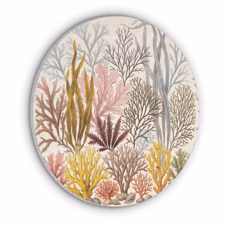 Natuur - Onderwater - Botanisch - Vintage - Kleurrijk Akoestische PET Vilt - Rond klein -3d