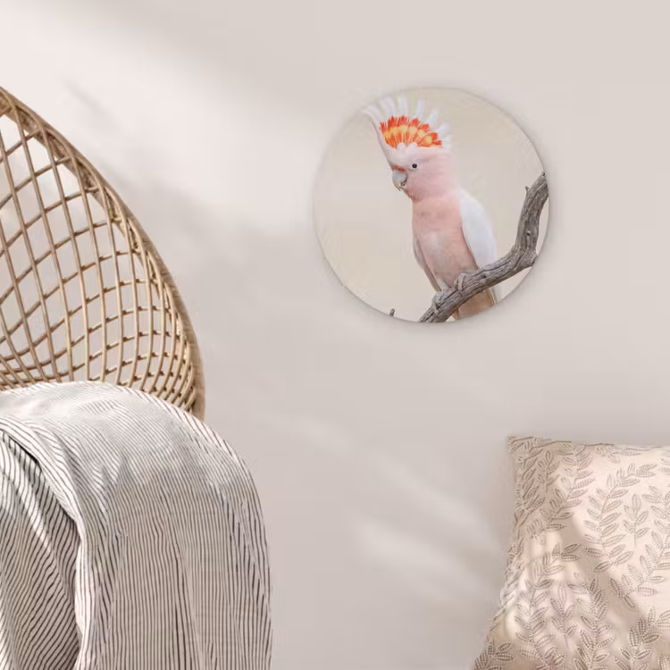 Papagaai - Tak - Roze Akoestische PET Vilt - Rond klein -sfeer4