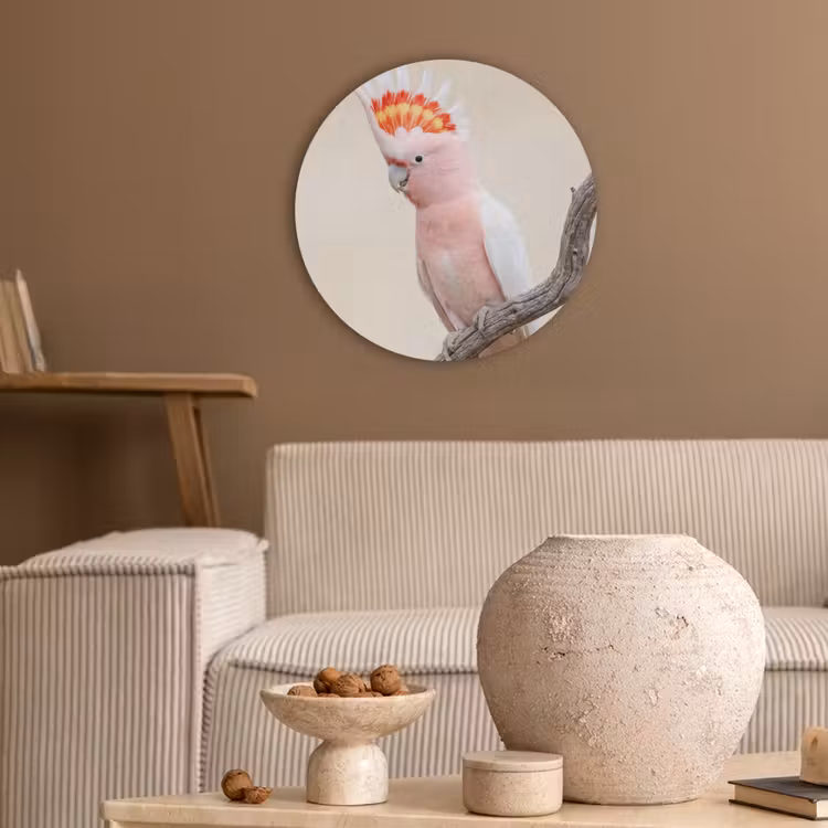 Papagaai - Tak - Roze Akoestische PET Vilt - Rond klein -sfeer1