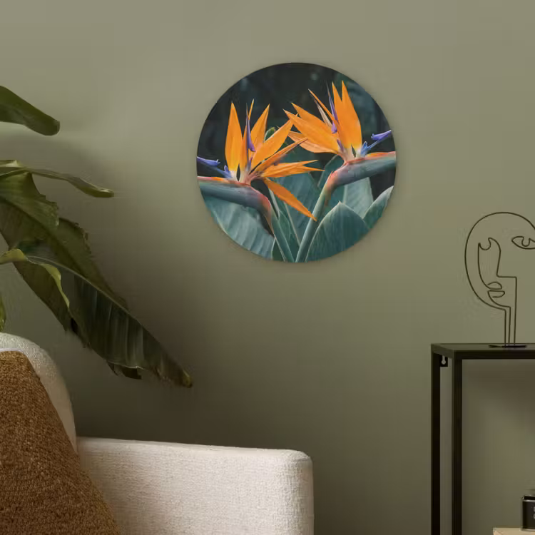 Paradijsvogel - Bloem - Exotisch Akoestische PET Vilt - Rond klein -sfeer2