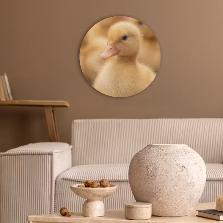 Pijltje - Eend - Natuur - Geel Akoestische PET Vilt - Rond klein -sfeer1