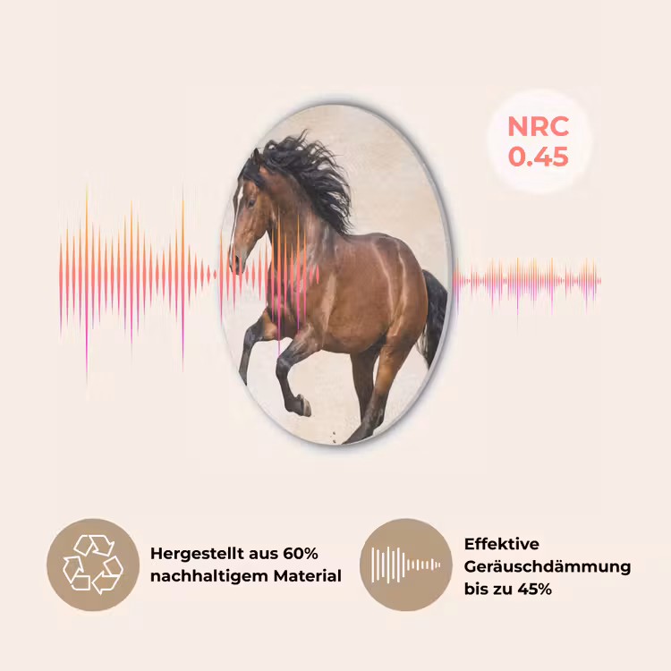 Paard - Galop - Energie Akoestische PET Vilt - Rond klein -USP_DE