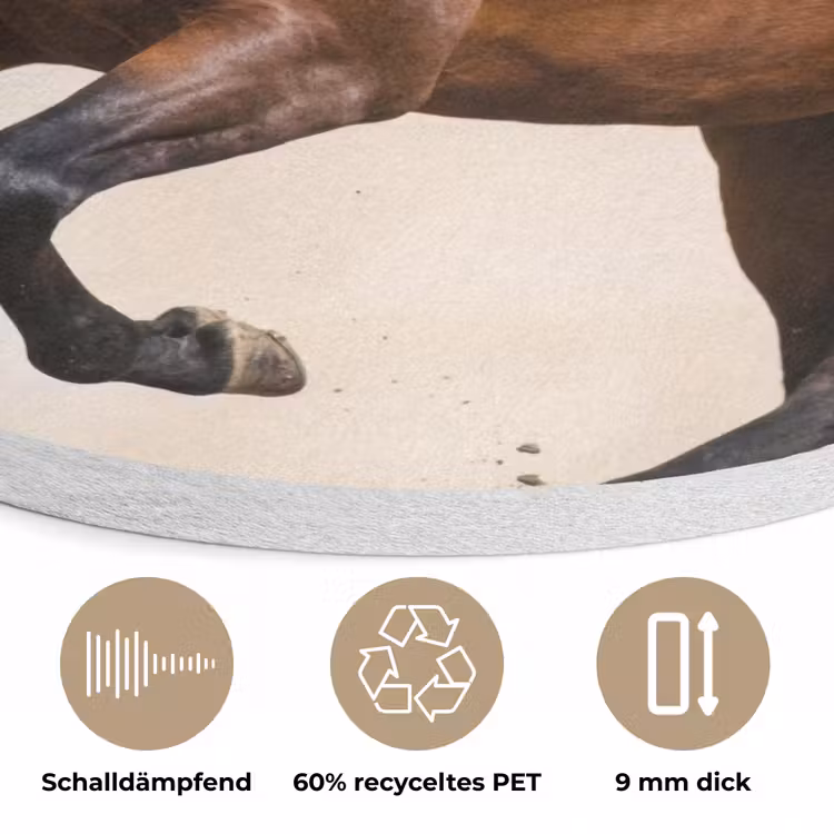 Paard - Galop - Energie Akoestische PET Vilt - Rond klein -closeup_DE