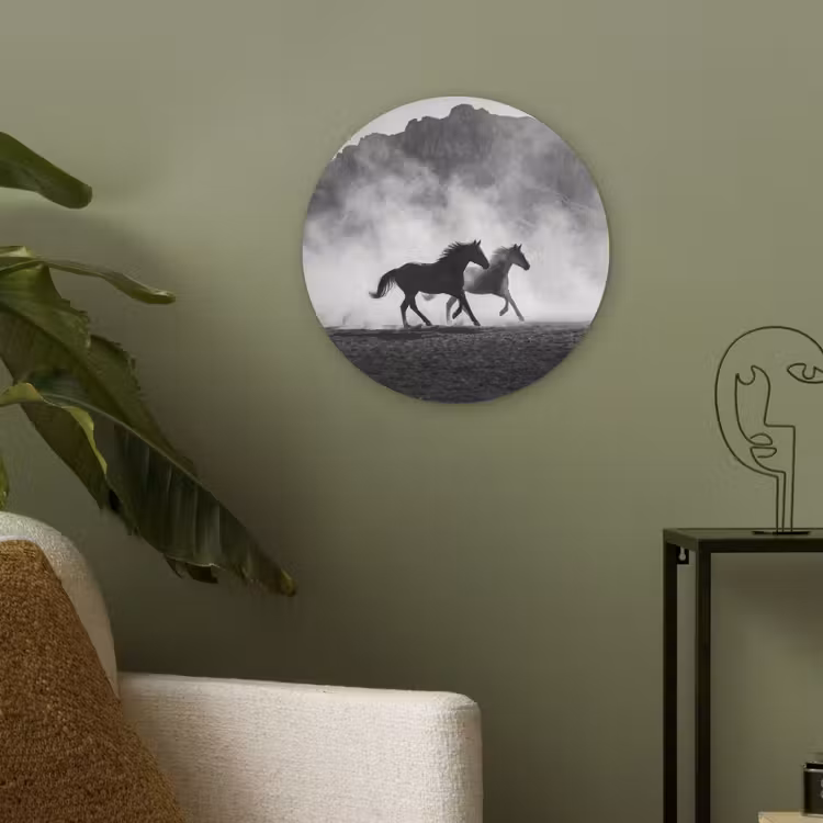 Paard - Ren - Stof - Zwart-wit - Dieren Akoestische PET Vilt - Rond klein -sfeer2