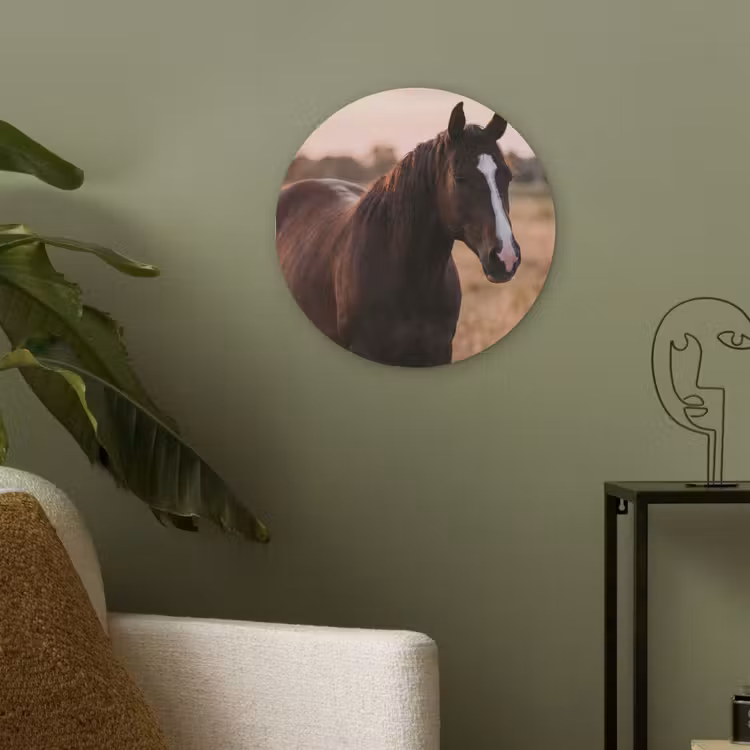 Paard - Zonsondergang - Bruin Akoestische PET Vilt - Rond klein -sfeer2
