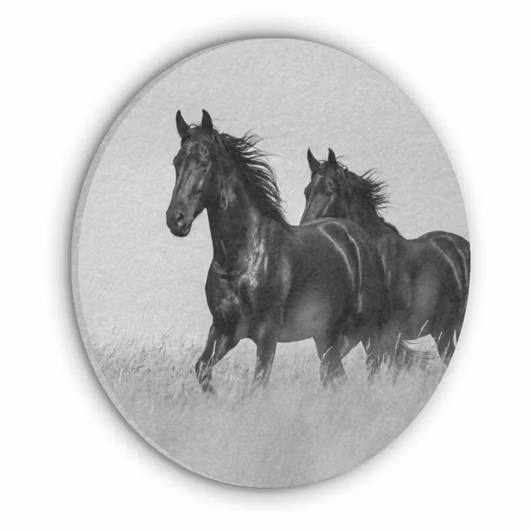 Paarden - Gras - Zwart - Wit Akoestische PET Vilt - Rond klein -3d