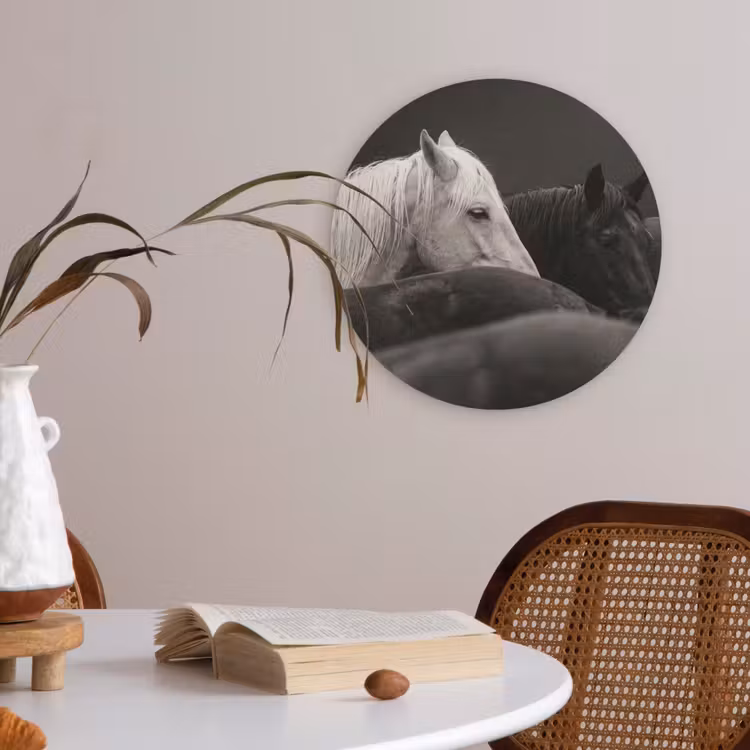 Paarden - Zwart - Wit - Kudde Akoestische PET Vilt - Rond klein -sfeer3