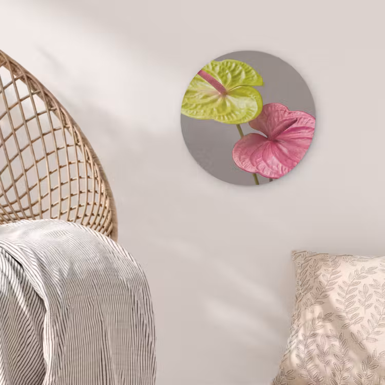 Planten - Anthurium - Groen - Roze Akoestische PET Vilt - Rond klein -sfeer4