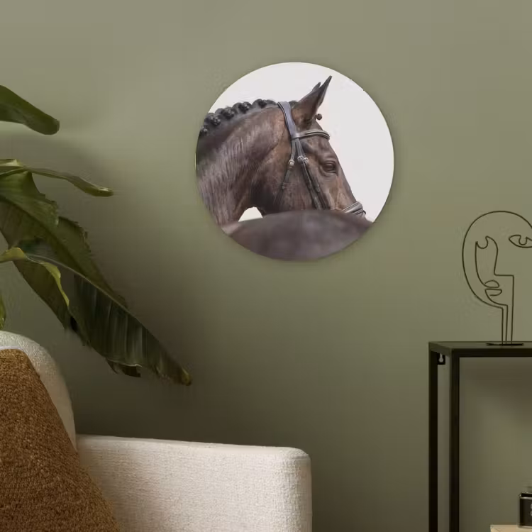Portret - Paard - Elegant Akoestische PET Vilt - Rond klein -sfeer2