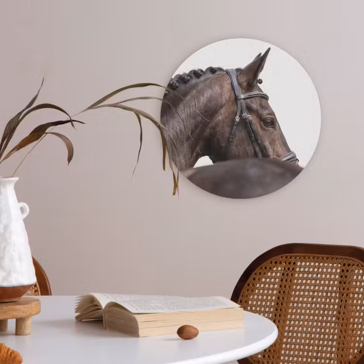 Portret - Paard - Elegant Akoestische PET Vilt - Rond klein -sfeer3