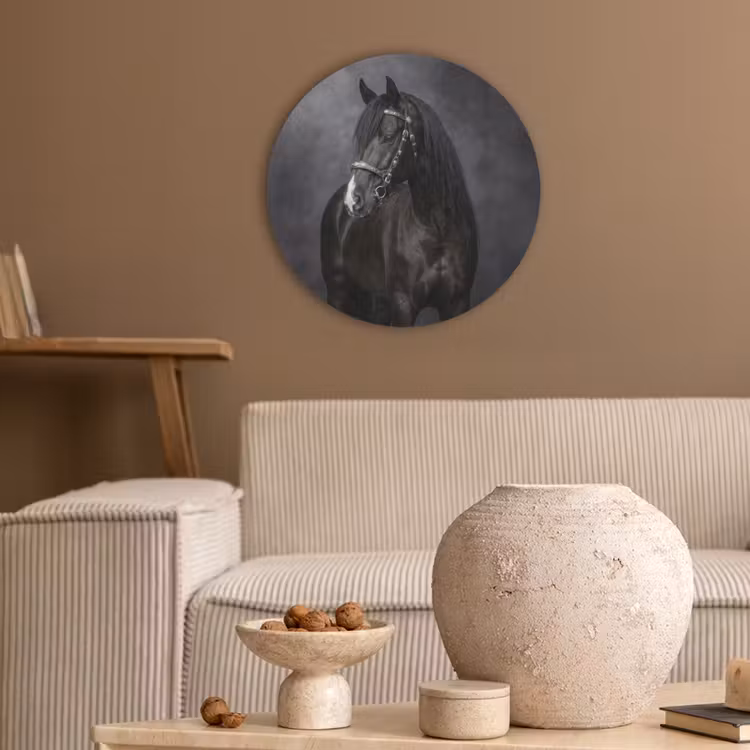 Portret - Paard - Zwart Akoestische PET Vilt - Rond klein -sfeer1