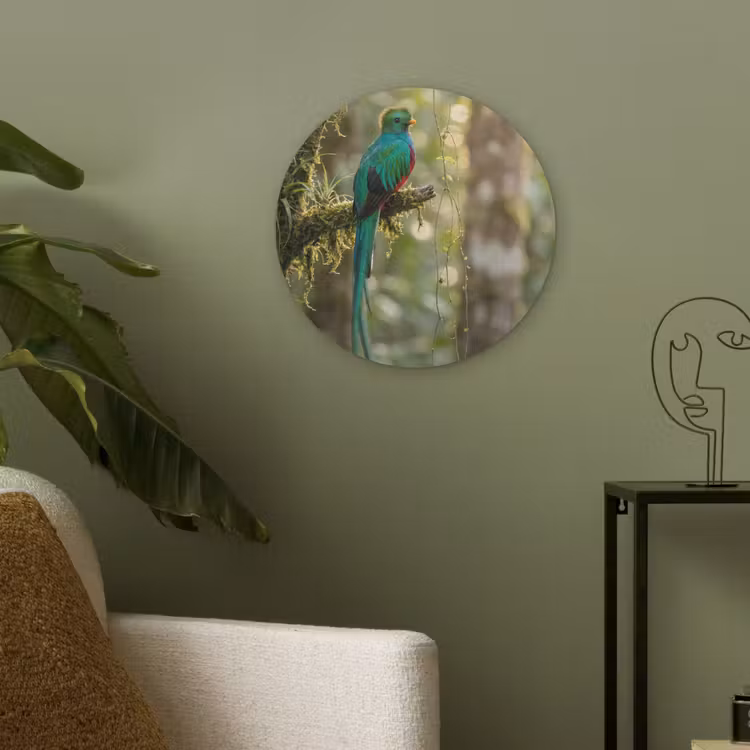 Quetzal - Jungle - Natuur - Groen Akoestische PET Vilt - Rond klein -sfeer2