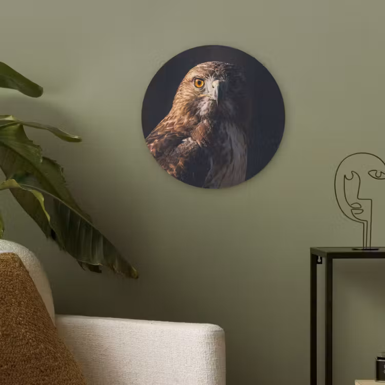 Roofvogel - Buizerd - Bruin Akoestische PET Vilt - Rond klein -sfeer2