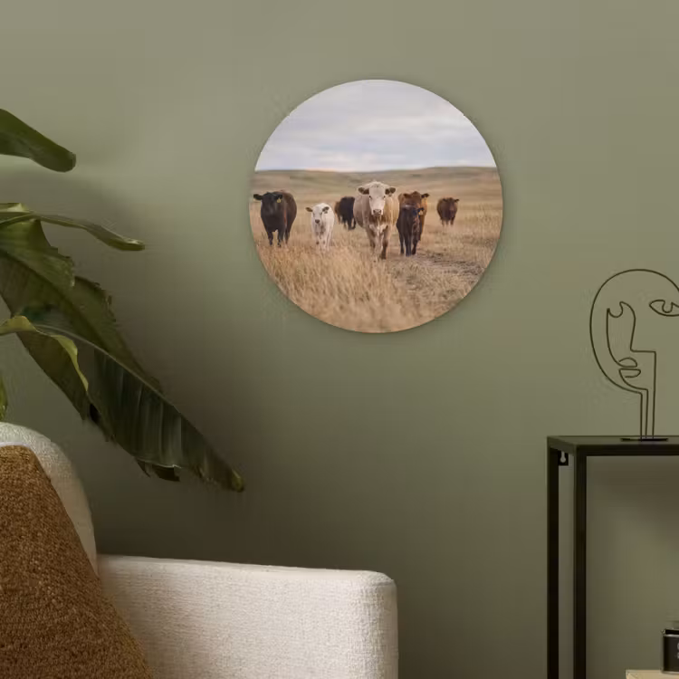 Runderen - Kudde - Landschap - Weide - Rustig Akoestische PET Vilt - Rond klein -sfeer2