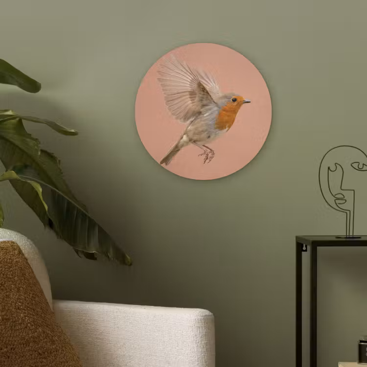 Roodborst - Natuur - Roze Akoestische PET Vilt - Rond klein -sfeer2