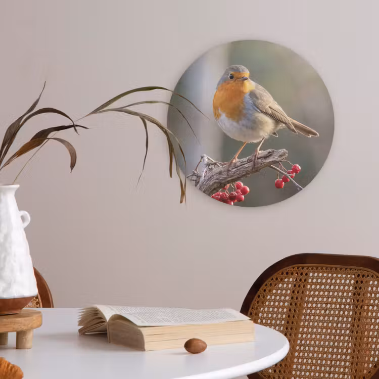 Roodborst - Tak - Bessen - Natuur Akoestische PET Vilt - Rond klein -sfeer3