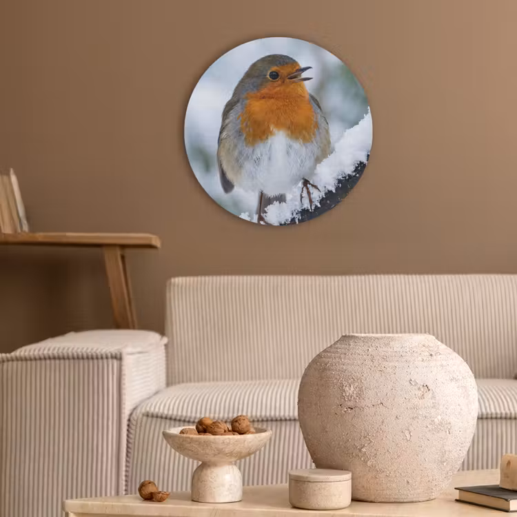 Roodborstje - Tak - Sneeuw - Winter - Levendig Akoestische PET Vilt - Rond klein -sfeer1
