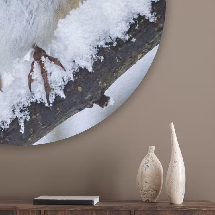Roodborstje - Tak - Sneeuw - Winter - Levendig Akoestische PET Vilt - Rond klein -sfeer5_closeup
