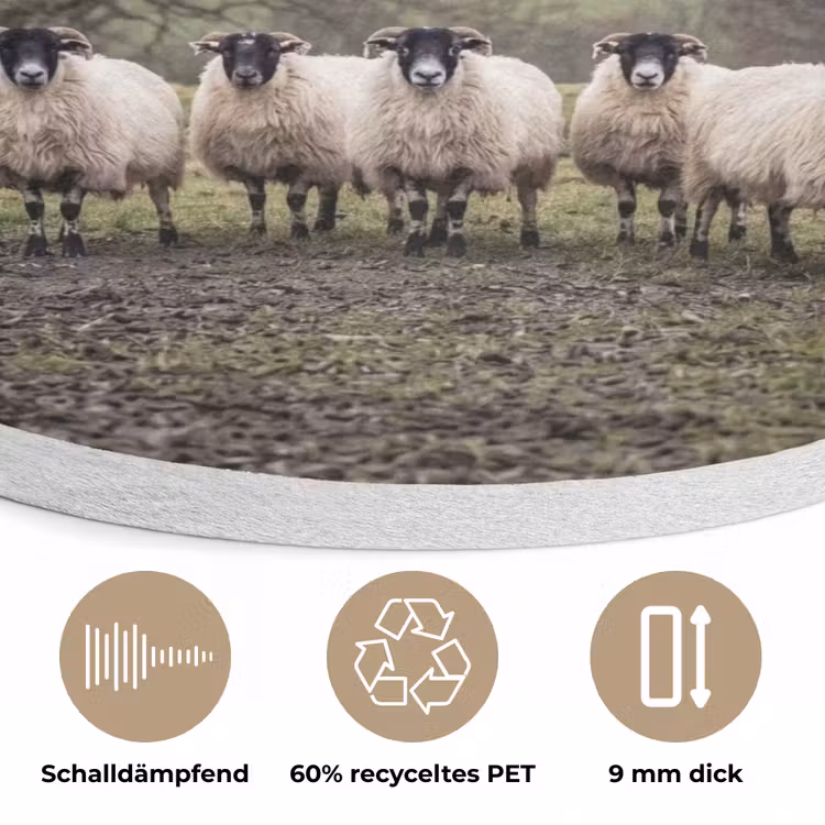 Schapen - Rij - Weide - Dieren - Platteland Akoestische PET Vilt - Rond klein -closeup_DE