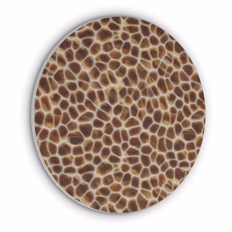 Schildpad - Bruin - Patroon Akoestische PET Vilt - Rond klein 838 -3d