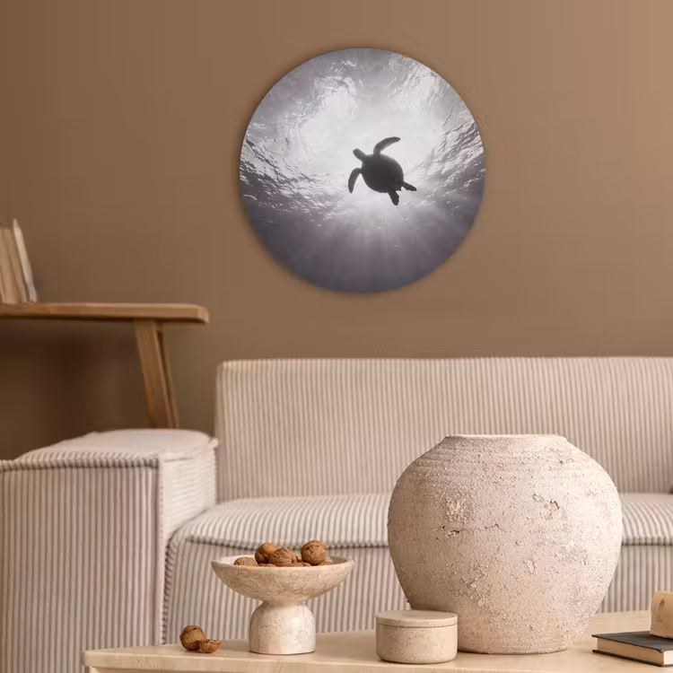 Schildpad - Onderwater - Lichtstralen - Oceaan - Zwart-wit Akoestische PET Vilt - Rond klein -sfeer1