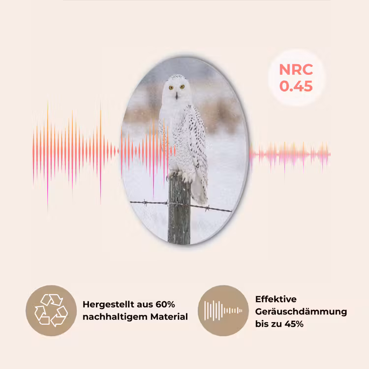 Sneeuwuil - Hek - Sneeuw - Wit Akoestische PET Vilt - Rond klein -USP_DE