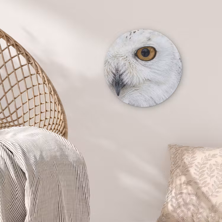 Sneeuwuil - Oog - Wildlife - Wit Akoestische PET Vilt - Rond klein -sfeer4