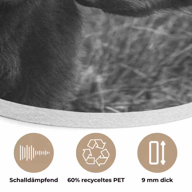 Schotse hooglander - Kalf - Zwart - Wit Akoestische PET Vilt - Rond klein -closeup_DE