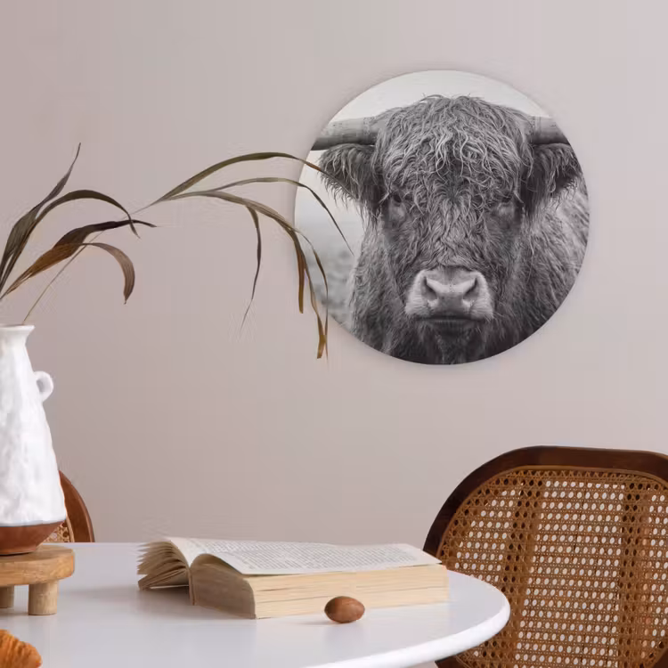 Schotse hooglander - Zwart - Wit - Gras Akoestische PET Vilt - Rond klein -sfeer3