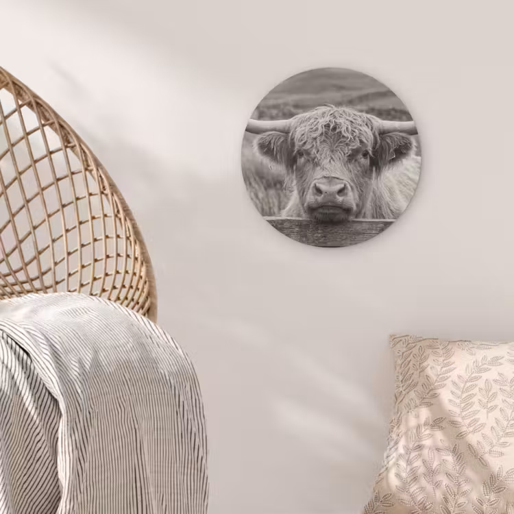 Schotse hooglander - Zwart - Wit - Hout Akoestische PET Vilt - Rond klein -sfeer4
