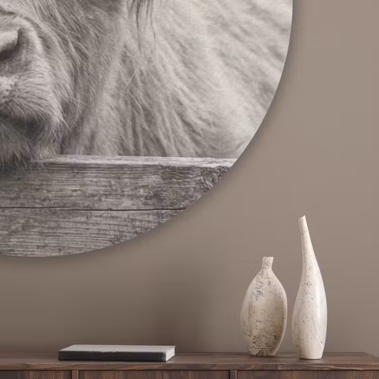 Schotse hooglander - Zwart - Wit - Hout Akoestische PET Vilt - Rond klein -sfeer5_closeup