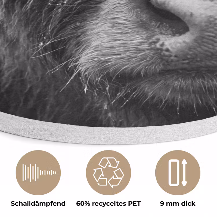 Schotse hooglander - Zwart - Wit - Sneeuwvlokken Akoestische PET Vilt - Rond klein -closeup_DE