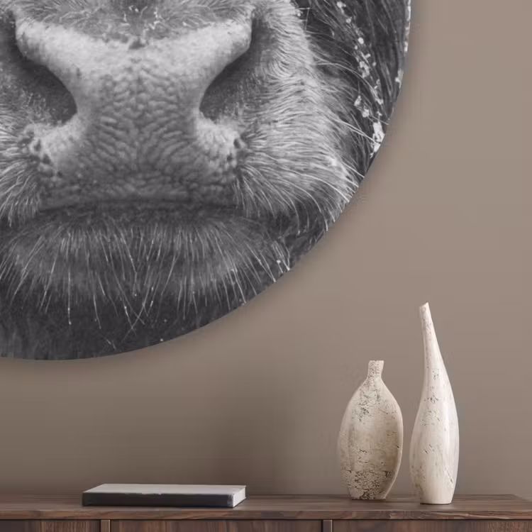 Schotse hooglander - Zwart - Wit - Sneeuwvlokken Akoestische PET Vilt - Rond klein -sfeer5_closeup