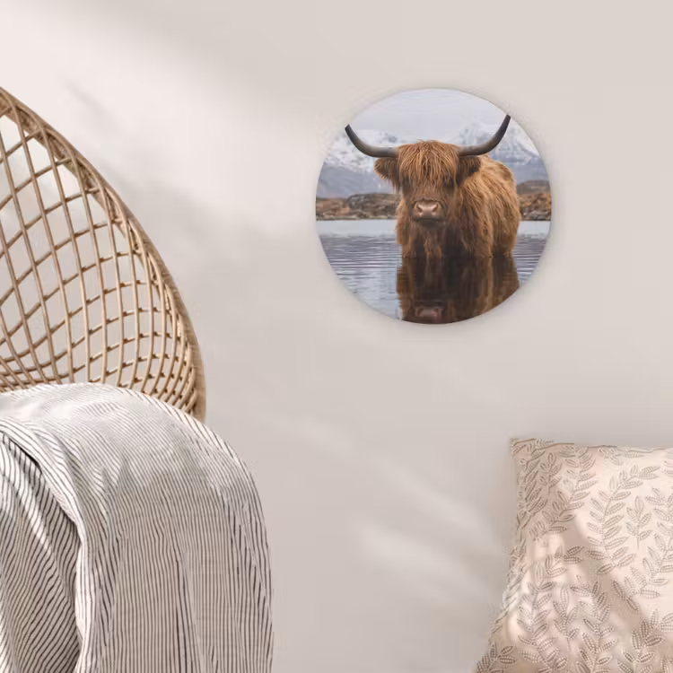 Schotse hooglander - Bruin - Water Akoestische PET Vilt - Rond klein -sfeer4