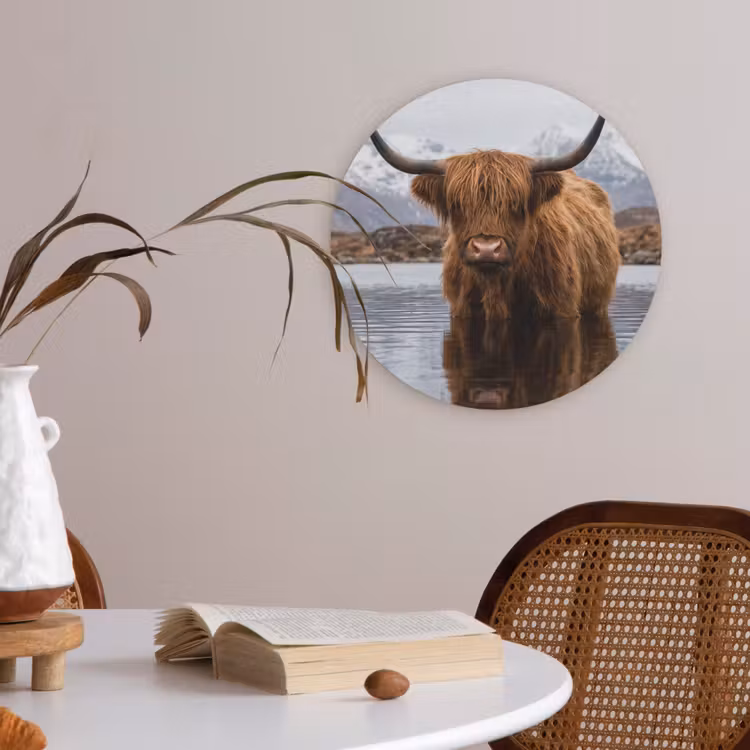 Schotse hooglander - Bruin - Water Akoestische PET Vilt - Rond klein -sfeer3