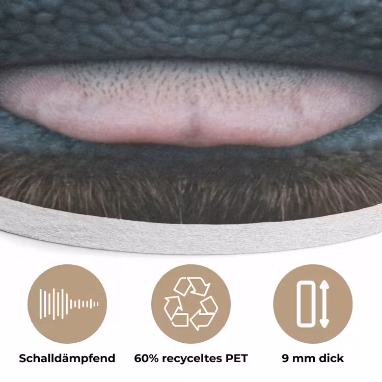 Schotse hooglander - Neus - Bruin Akoestische PET Vilt - Rond klein -closeup_DE
