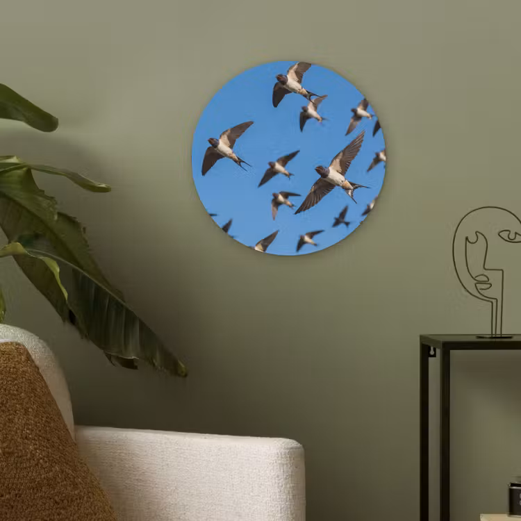Zwaluwen - Vliegen - Blauw Akoestische PET Vilt - Rond klein -sfeer2