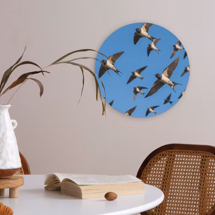 Zwaluwen - Vliegen - Blauw Akoestische PET Vilt - Rond klein -sfeer3