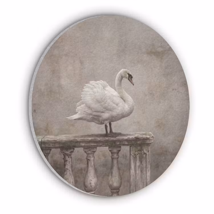 Zwaan - Elegant - Dieren - Wit Akoestische PET Vilt - Rond klein -3d