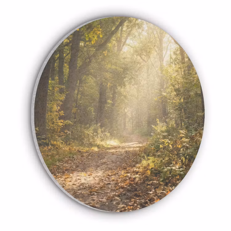 Zonlicht - Bospad - Bomen Akoestische PET Vilt - Rond klein -3d