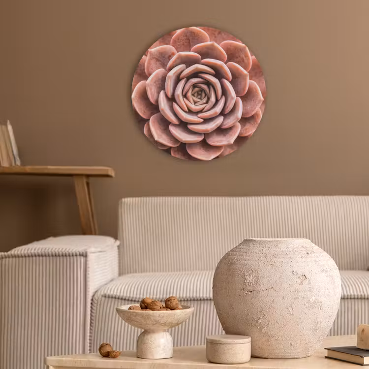 Vetplant - Organisch - Roze Akoestische PET Vilt - Rond klein -sfeer1