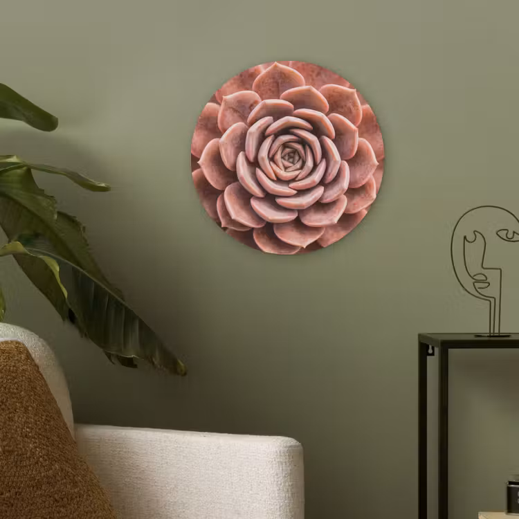 Vetplant - Organisch - Roze Akoestische PET Vilt - Rond klein -sfeer2