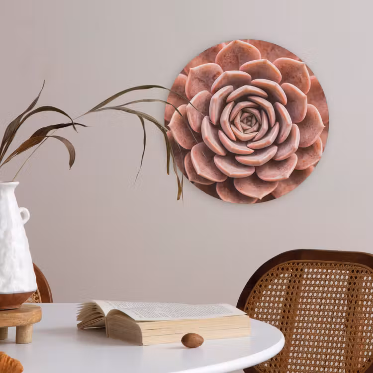 Vetplant - Organisch - Roze Akoestische PET Vilt - Rond klein -sfeer3