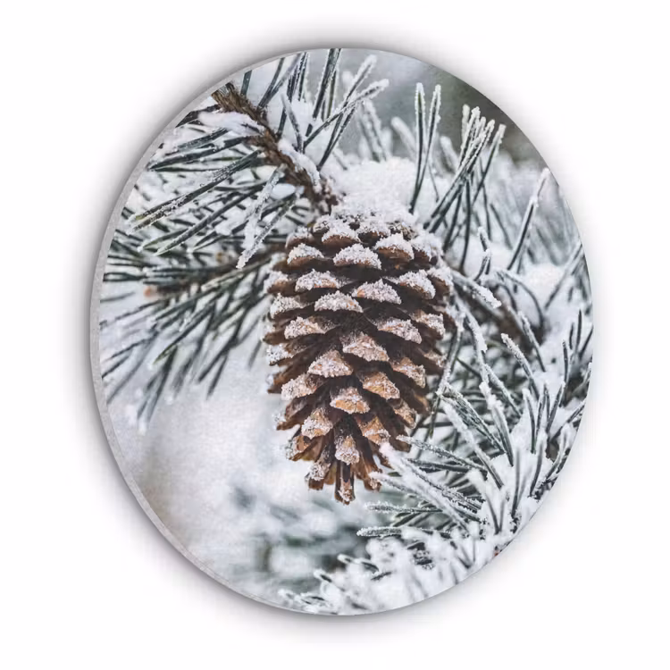 Dennenappel - Tak - Sneeuw - Winter - Sfeervol Akoestische PET Vilt - Rond klein -3d