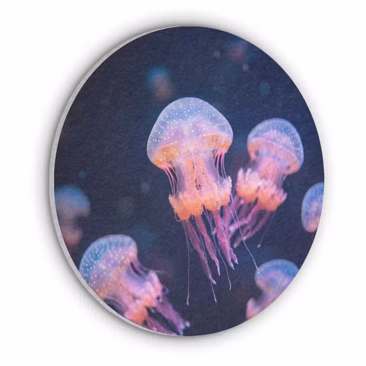Dier - Onderwater - Natuur - Roze - Mysterieus Akoestische PET Vilt - Rond klein -3d